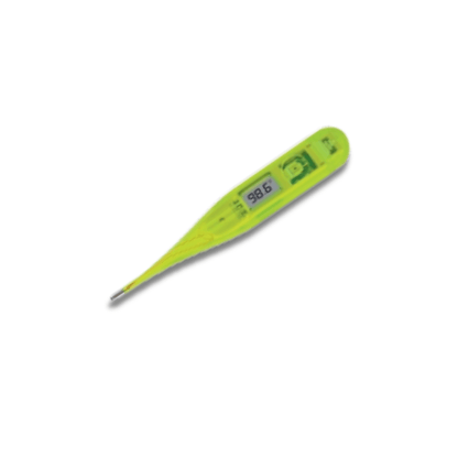 Mini Digital Thermometer