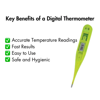 Mini Digital Thermometer